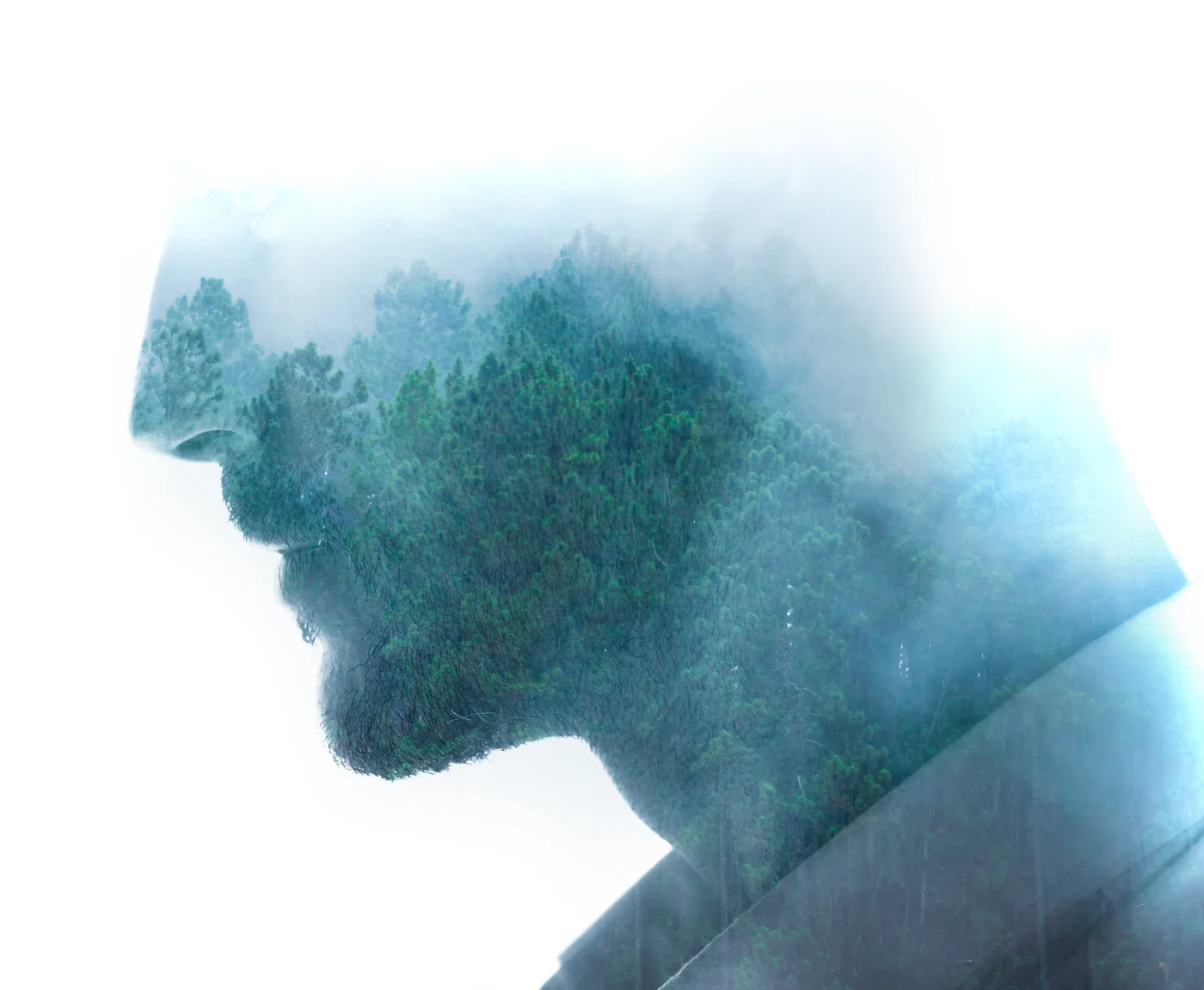 Oczyszczalnia ścieków — realizacja Envirolab